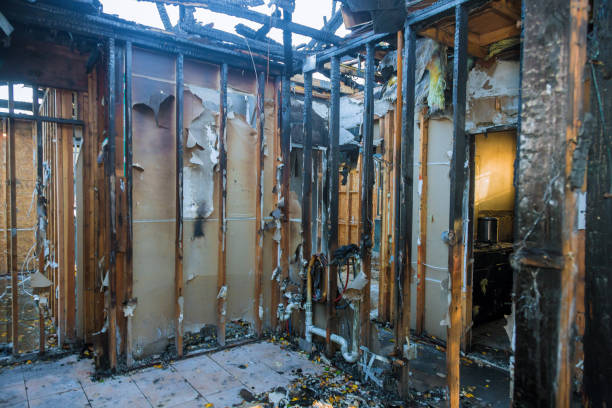 Professional Fire Damage Assessment technician working in San Juan, TX
